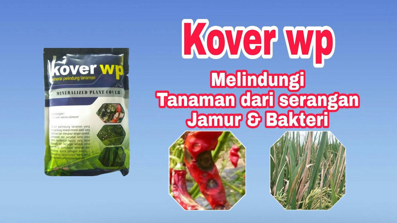 WP Cover Plant Protection Nutrition