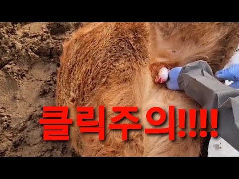 아이콘