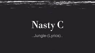 Nasty C jungle Lyrics