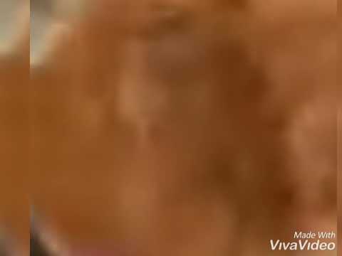 Brittanyhontas Cast Video