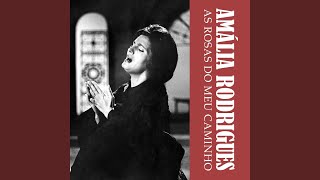 As Rosas do Meu Caminho