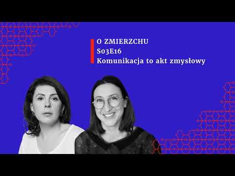 S03E16 Komunikacja to akt zmysłowy - O Zmierzchu