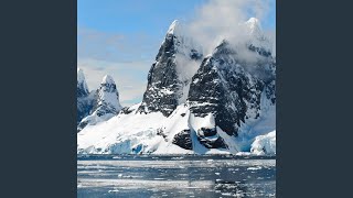 Cover art for Flowers Are Blooming in Antarctica