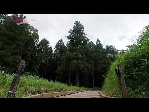 中池見湿地