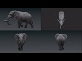 Realistic Elephant Walk Cycle