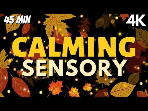 4k- Calming Sensory Music Doze Into Falling Leaves Soothing Visuals