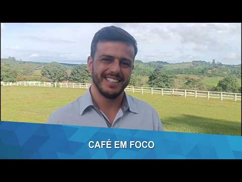 CAFÉ EM FOCO: Sustentabilidade e rastreabilidade fortalecem produção de café em Botelhos