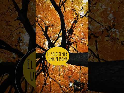 Poster image for &ldquo;Busque Ayuda&rdquo; video