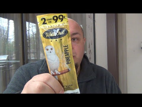 download lagu mp3 mp4 White Owl Honey, download mp3 White Owl Honey free download mp3, download mp3 White Owl Honey