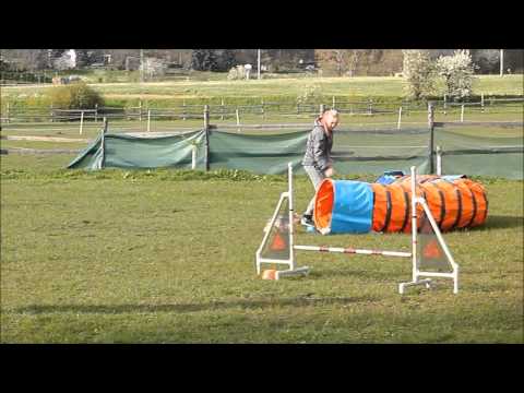 Agility trénink - 28.4. (Málkov)