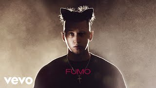 Musik-Video-Miniaturansicht zu FUMO Songtext von Massimo Pericolo