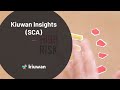 Kiuwan Insights (SCA)