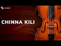 Chinna Kili Vanna Kili SPB S Janaki Ilayaraja Chinna Gounder