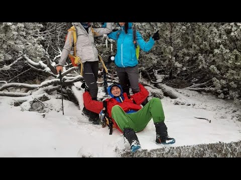 BUSTENI 900 m - JEPII MARI - La GRATAR 1100 m - canton SCHEIL 1950 m - cab. PIATRA ARSA 1950 m