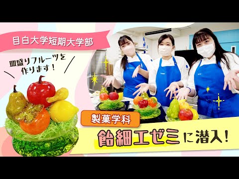 【目白短大】製菓学科：飴細工ゼミに潜入！普段のゼミの様子をお見せします。
