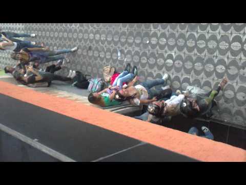 Bixos pós-trote - FOC 2012