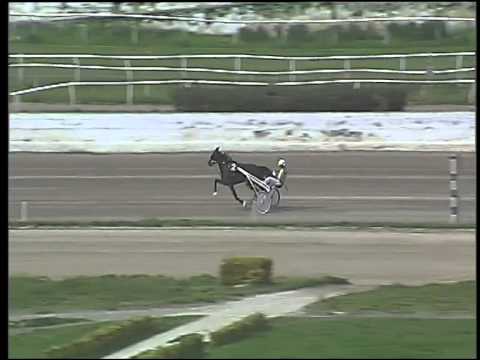 Trotto 26/03/2015 - prova di qualifica