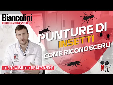 Il dottore di komarovskiya helminths a bambini Parassiti di un anime di un openinga