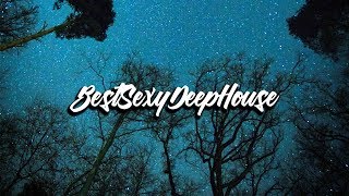 Shakedown - At Night Purple Disco Machine Remix | NuDisco