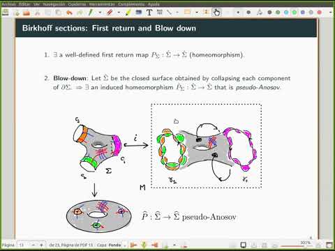 Birkhoff sections and suspension Anosov flows - I