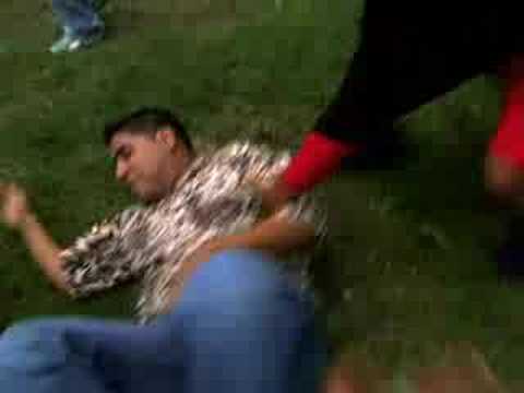 PANDIMAN Y SERVANDO SAMUEL