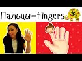 Детская песня "Семья пальчиков" | Kids Song "Finger family" 