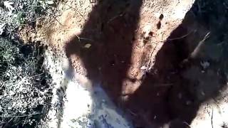 Before the Dam Broke