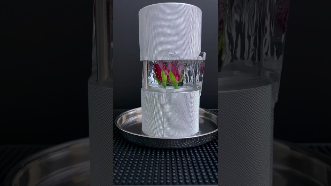 Frozen rose in clear ice cube to sphere transformation #clearicecubes #crystalclearice #craftice