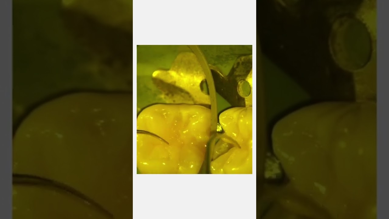 Rafał Wróblewski-5