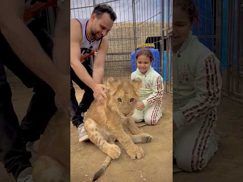 مين هنا برج الاسد؟😱