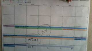 Autopsy Report, Caylee Anthony