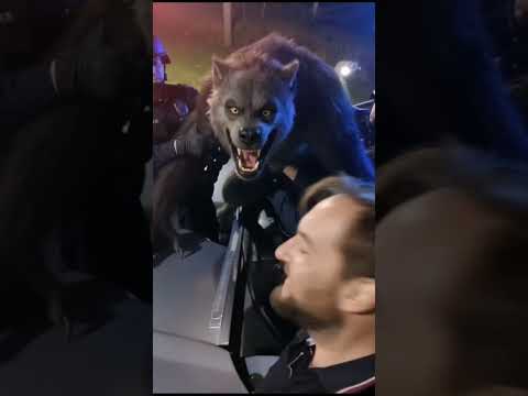 BRIGADA MILITAR É ACIONADA EM SENTINELA DO SUL