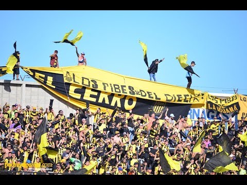 ""Me lo dijo una gitana"  - Hinchada Peñarol Campeón Clausura 2017" Barra: Barra Amsterdam • Club: Peñarol