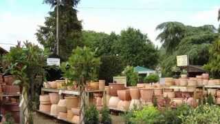 preview picture of video 'Ripley Nurseries & Garden Centre, Surrey'