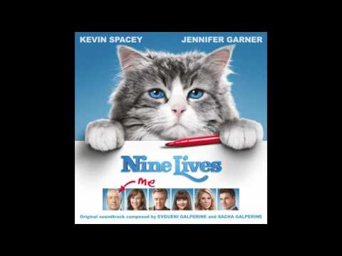 Nine Lives Three Cool Cats