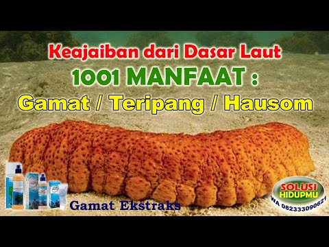 Beberapa obat tekanan tidak mempengaruhi potensi pada pria Kacang untuk potensi seksual laki-laki