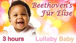 ☆ 3 HOURS ☆ Beethoven Für Elise ☆ Relaxing PIANO ☆ Beethoven for Babies, Baby Sleep Music