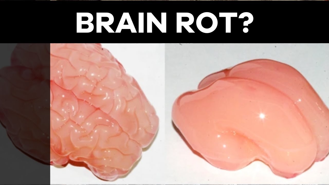 Title | Christian Dunker | Speaking of That