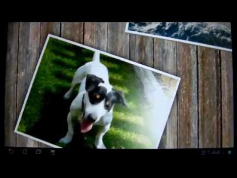 Slideshow 500 FREE Video