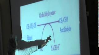 16) Dr.Marwa 23/12/2014 [Fatty Liver]