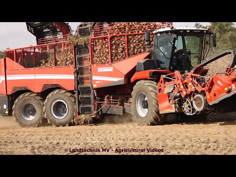 Grimme - Holmer - Fendt - Ropa / Zuckerrübenernte - Harvesting Sugar Beets pt.1