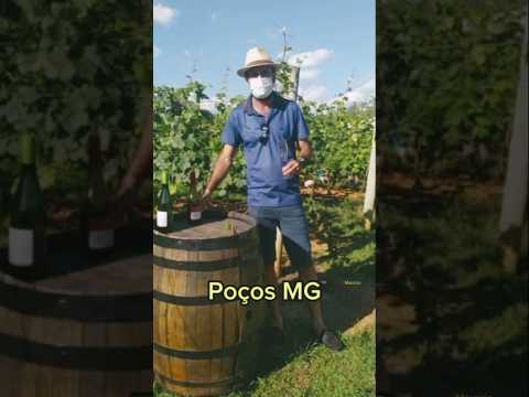 Viagem para Poços de Caldas, Minas Gerais: paisagens, tranquilidade e descobertas