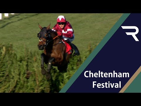 2021 Cheltenham Festival Day 2 - Racing Replay - all of the replays and interviews from Racing TV