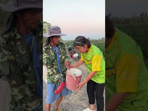 เว้าจั่งซี่ไคแหน่จ้า #สนุกสนาน #funny #เฮฮาขำๆ #comedy #วิถีชาวบ้าน