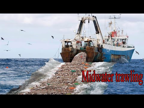 Life On World's Most Advance Fish Trawler - Unbelievable Hundred Tons Fish caught On The Boat