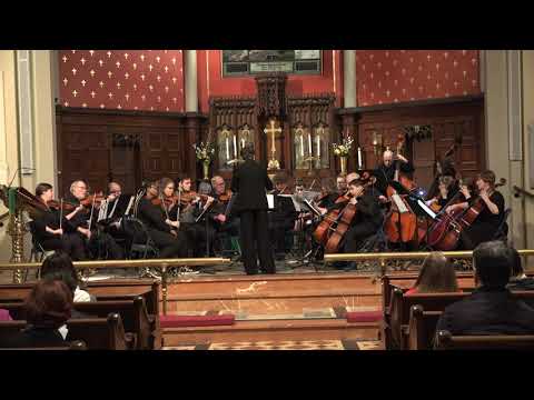 CSP Adult Advanced String Ensemble