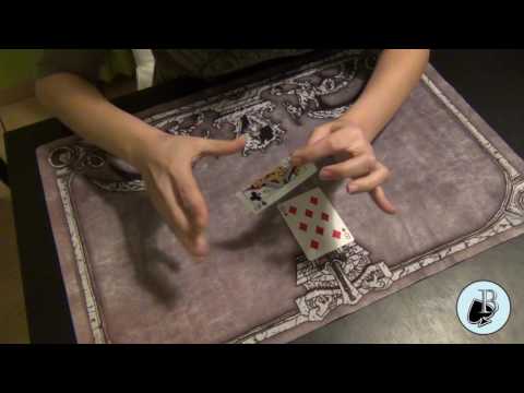 El gato de Shrondinger