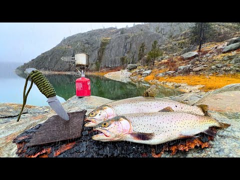 Fishing for Big Trout ALONE in the Rain!! (Catch & Cook)