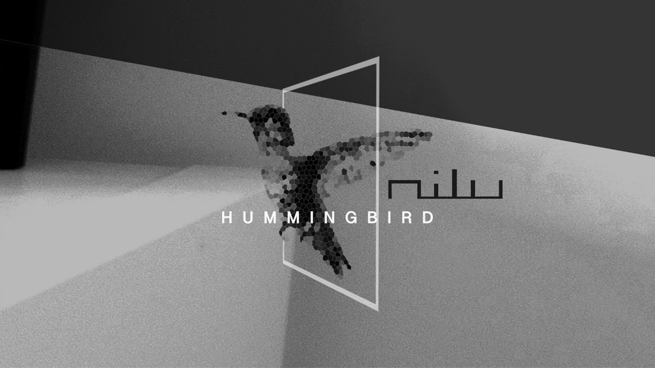 Nilu - Hummingbird