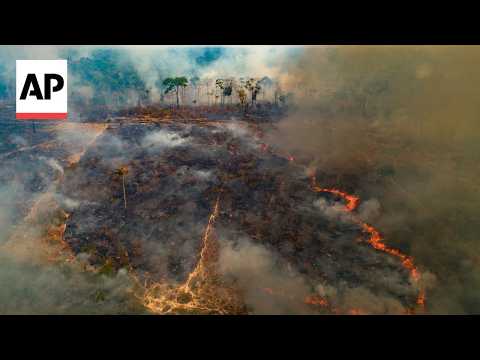 Video Thumbnail: Amazon's deforestation drop meets a tougher foe: forest degradation racing ahead